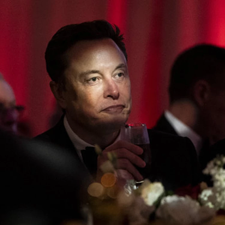 Imagen relacionada de elon musk circulo politico trump