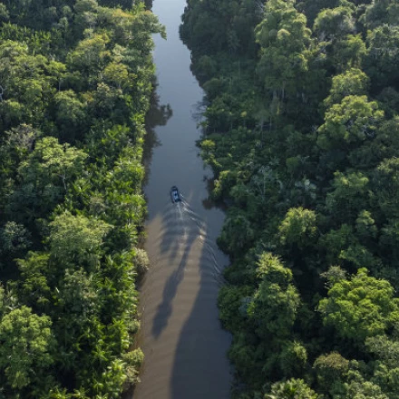 Imagen relacionada de muerte madre britanica ayahuascabolivia