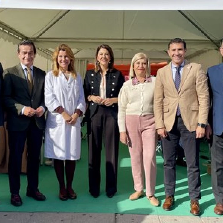 Imagen relacionada de jornada sensibilizacion diabetes sevilla