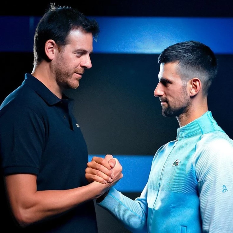 Imagen relacionada de delpotro djokovic homenaje argentina