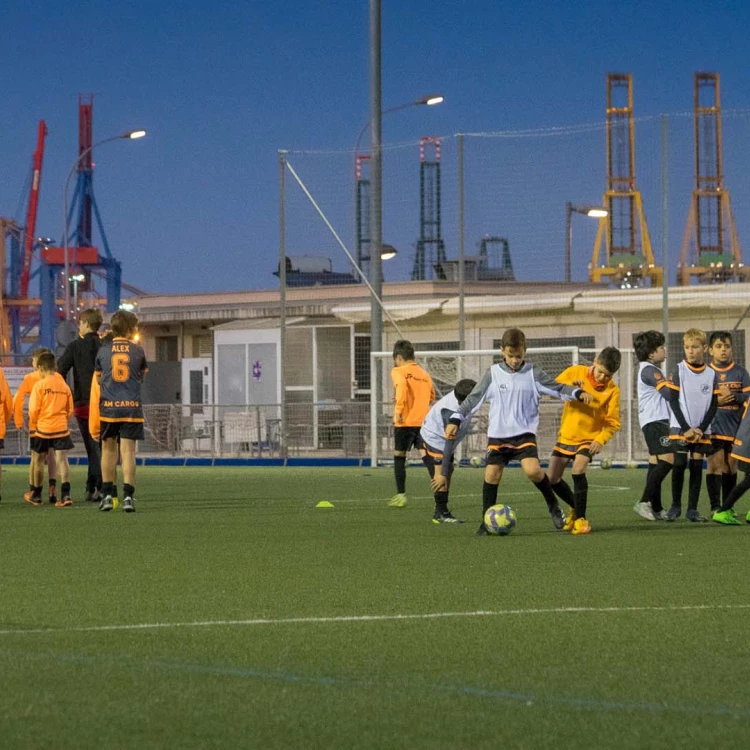 Imagen relacionada de reubicacion deportistas valencia danos instalaciones