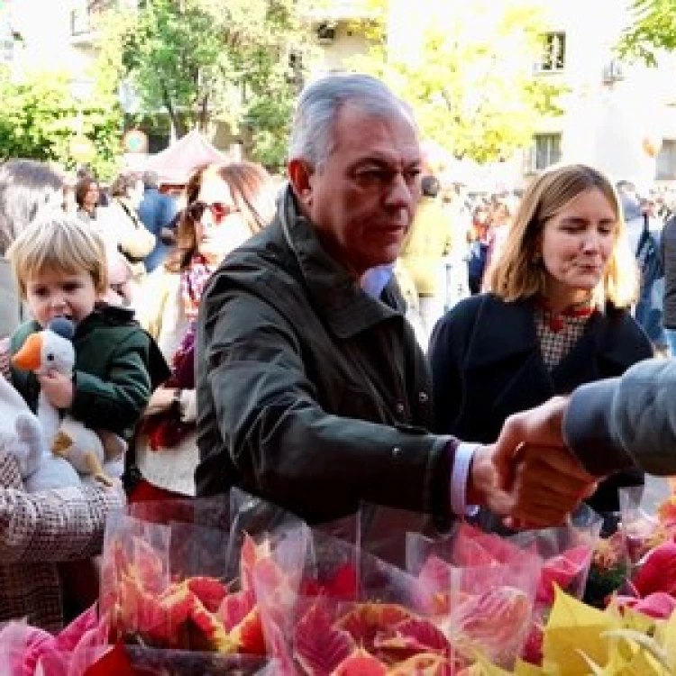 Imagen relacionada de mercado flores sevilla 2023