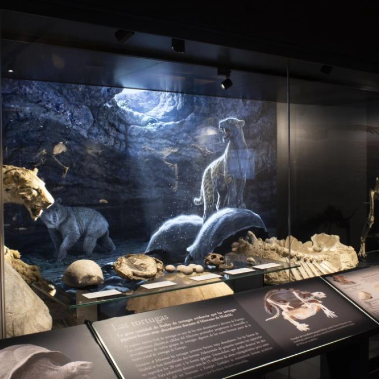 Imagen relacionada de mesa redonda mujeres paleontologia marpa