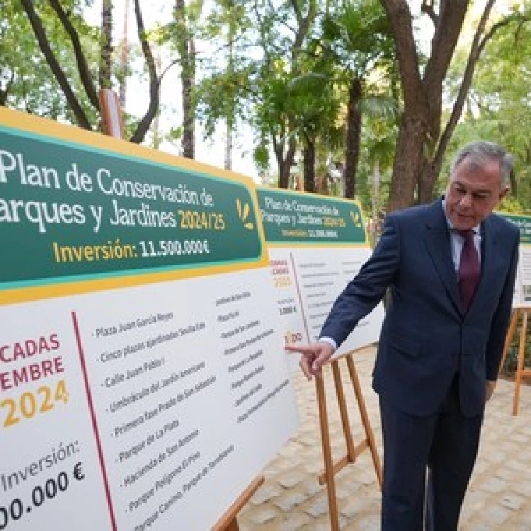 Imagen relacionada de inversiones parques jardines sevilla