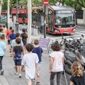 Imagen relacionada de alumnos participan semana movilidad Valencia