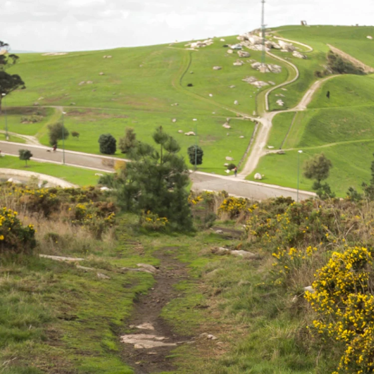 Imagen relacionada de bosque urbano bens coruna