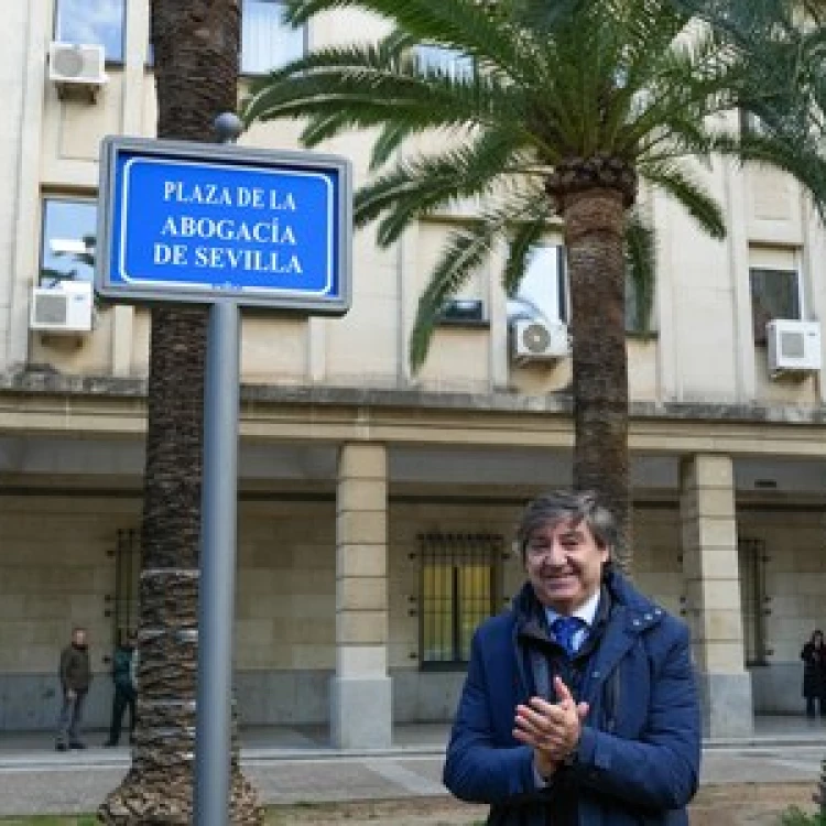 Imagen relacionada de plaza abogacia sevilla inauguracion