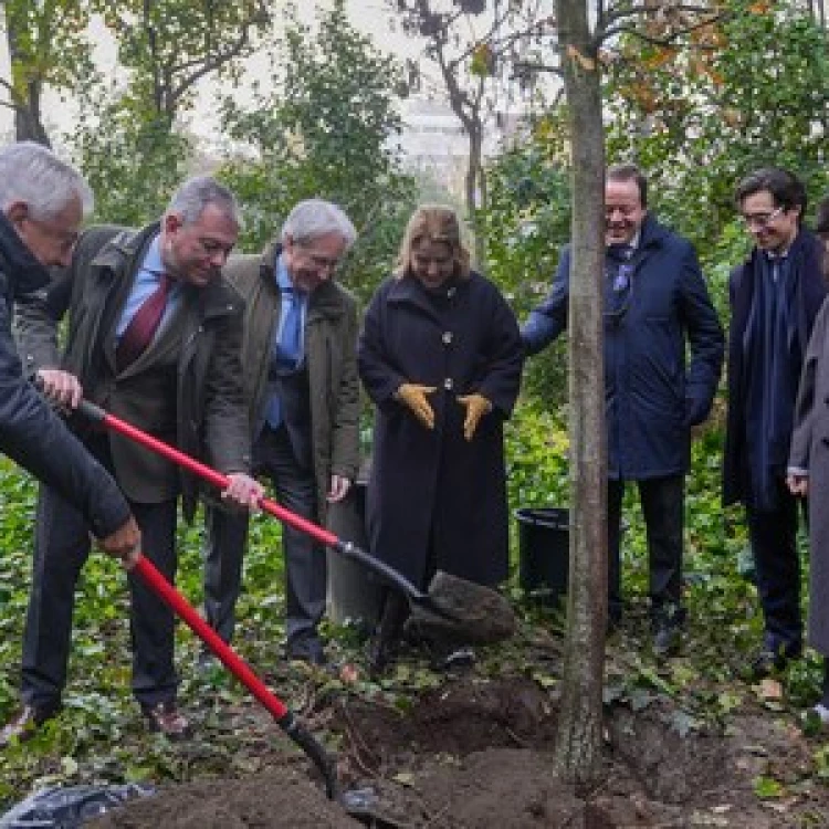 Imagen relacionada de sevilla campana reforestacion 7500 plantas