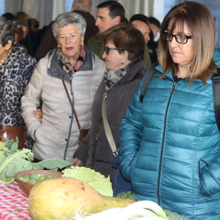 Imagen relacionada de elgoibar feria nochevieja productos locales