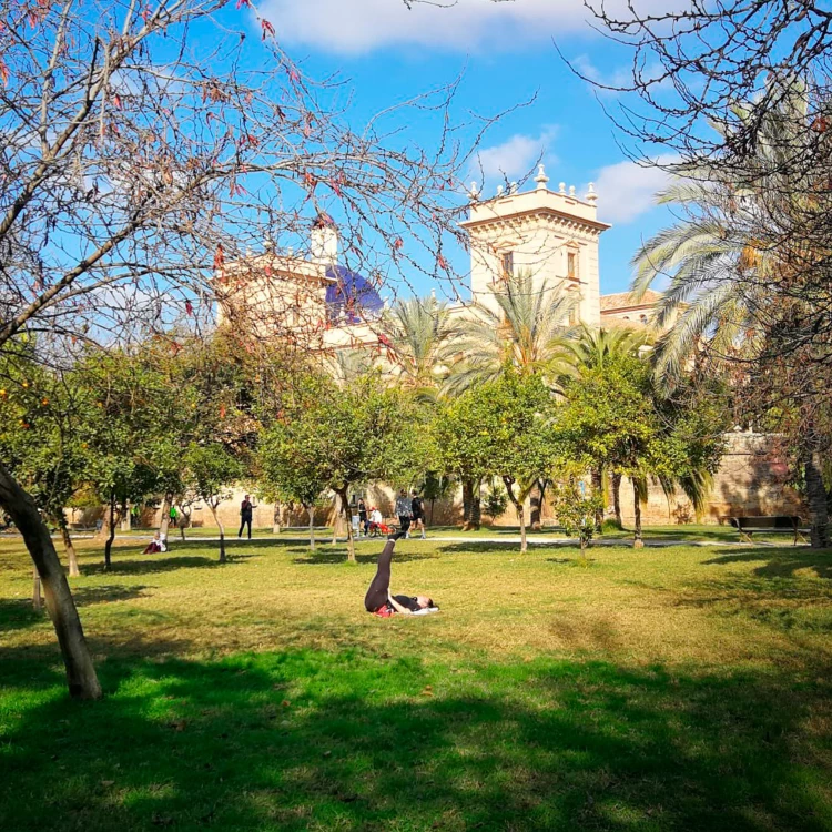 Imagen relacionada de nombramientos capitalidad verde europea valencia