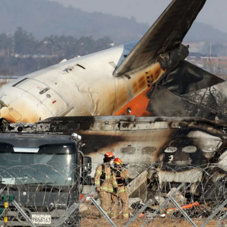 Imagen relacionada de accidente aereo jeju air corea del sur