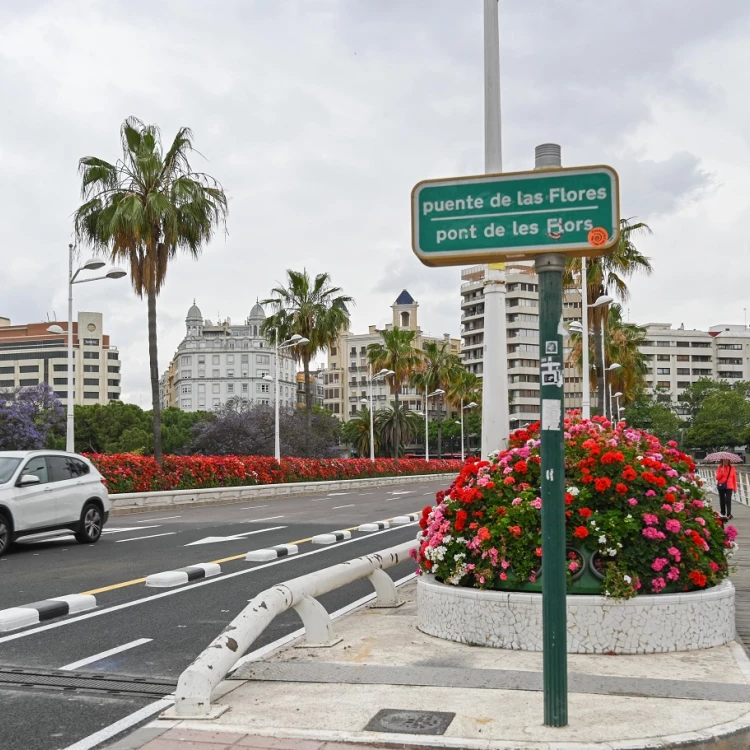 Imagen relacionada de nueva denominacion puente flores rita barbera valencia