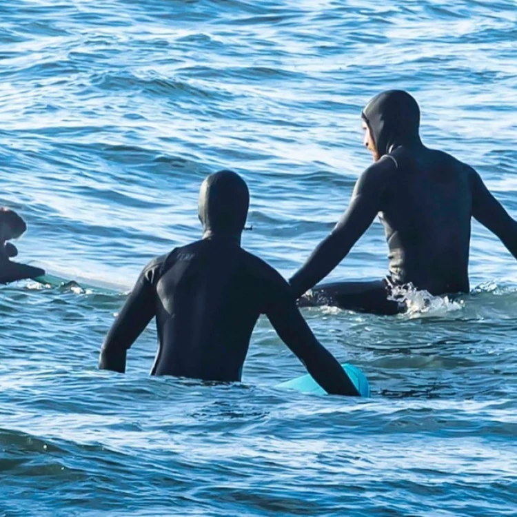 Imagen relacionada de nutria marina interrumpe sesion surf