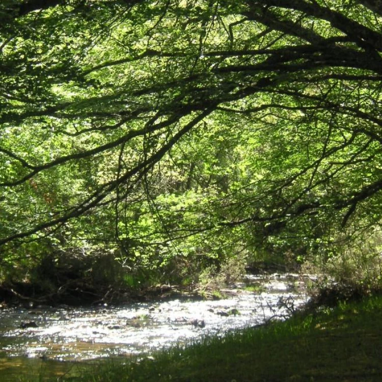 Imagen relacionada de actividades biodiversidad madrid 2025