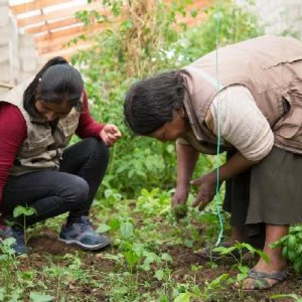 Imagen relacionada de junta castilla leon empoderamiento femenino cooperacion internacional