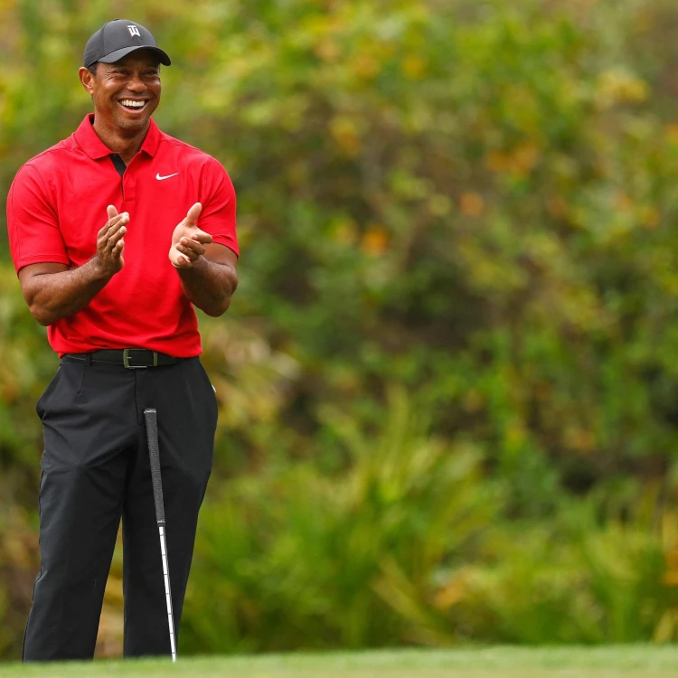 Imagen relacionada de tiger woods interes golfistico