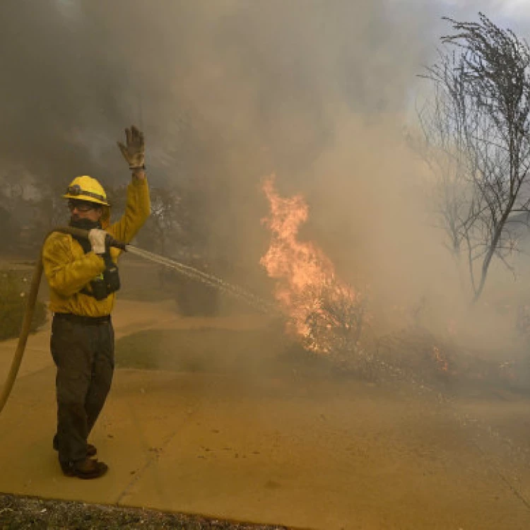 Imagen relacionada de incendios pacifico palisades colapso sistema agua