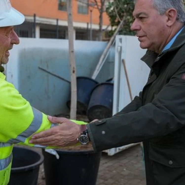 Imagen relacionada de sevilla reforestacion parque rosaleda