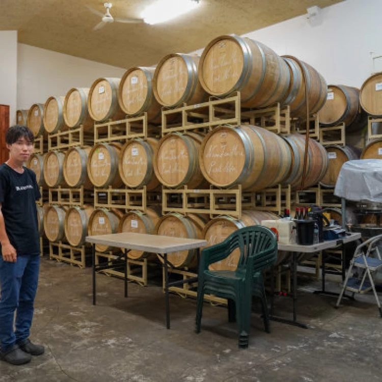 Imagen relacionada de joven sommelier australiano vino carrera lucrativa