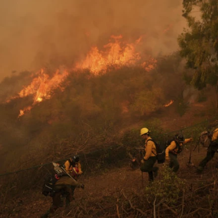 Imagen relacionada de reclusos incendios california