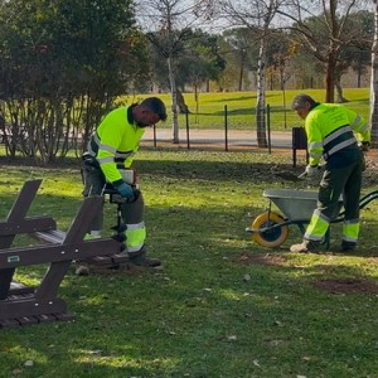 Imagen relacionada de reforestacion nuevos espacios recreativos sevilla