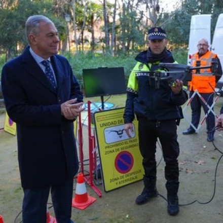 Imagen relacionada de drones arboles singulares sevilla