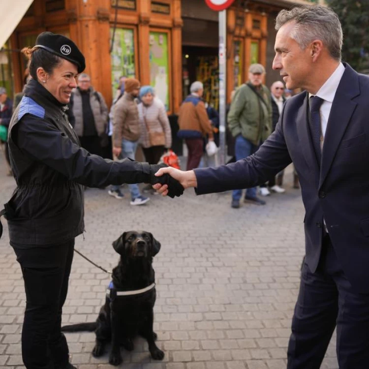 Imagen relacionada de reconocimiento unidades caninas emergencias madrid