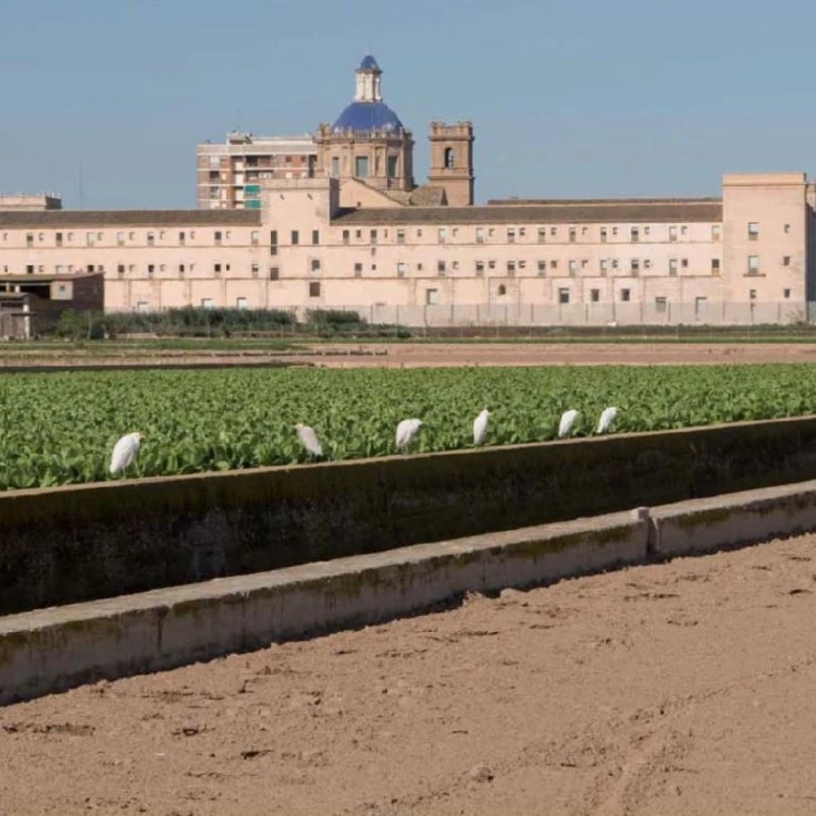 Imagen relacionada de valencia exposicion publica plan especial san miguel reyes