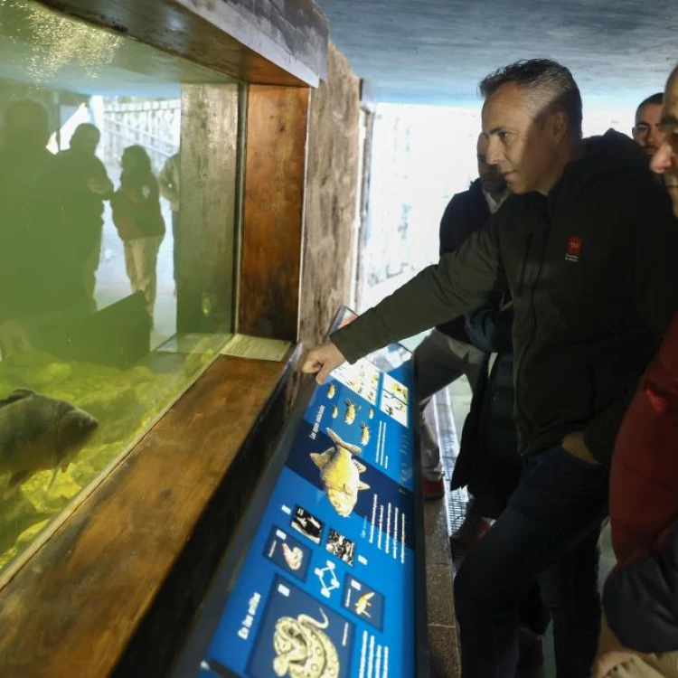 Imagen relacionada de conservacion trucha comun sierra guadarrama