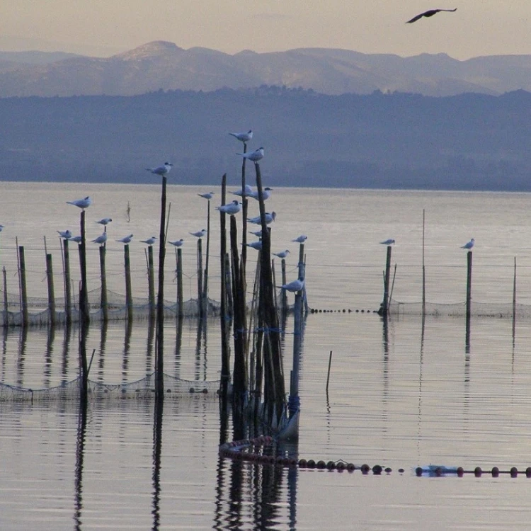 Imagen relacionada de valencia candidatura albufera biosfera fitur 2025