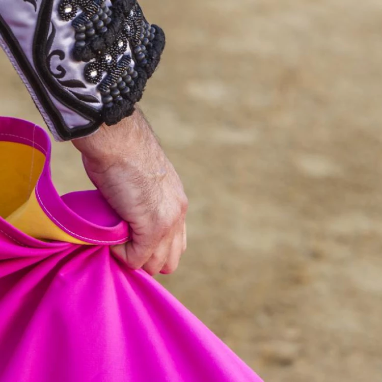 Imagen relacionada de madrid reanuda premio nacional tauromaquia