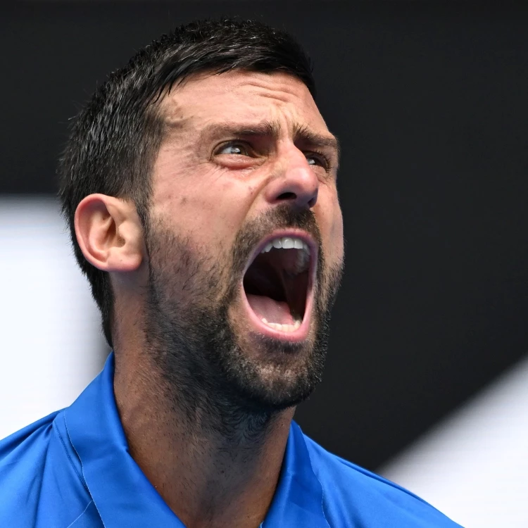 Imagen relacionada de djokovic zverev semifinales abierto australia