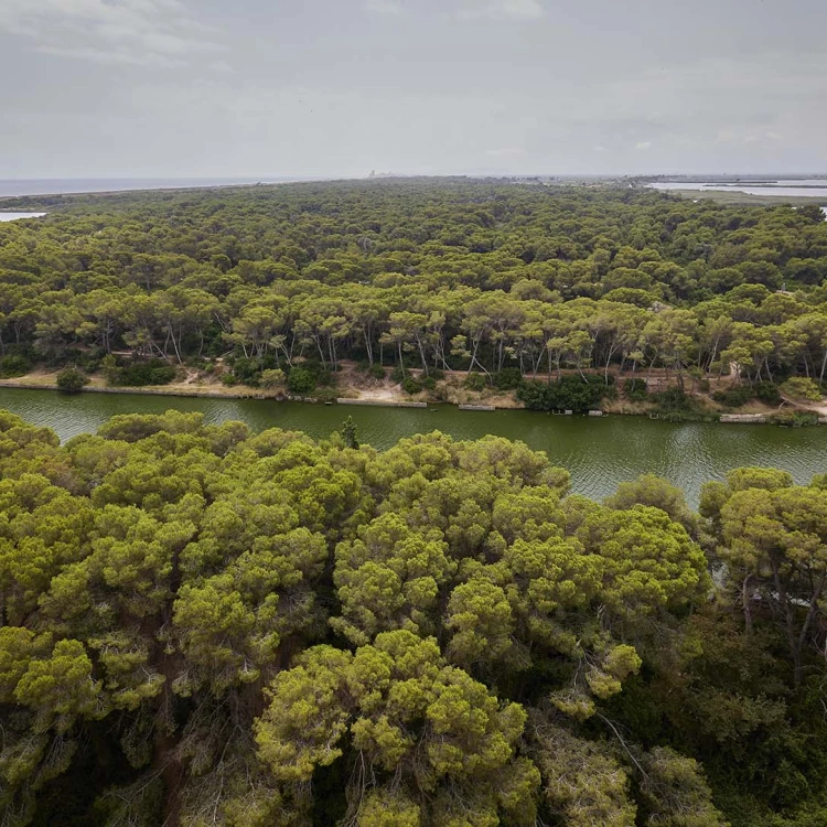 Imagen relacionada de valencia plan proteccion parque naturales devesa albufera