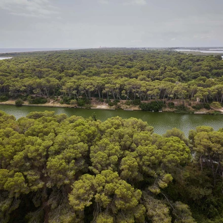 Imagen relacionada de valencia plan proteccion parque naturales devesa albufera