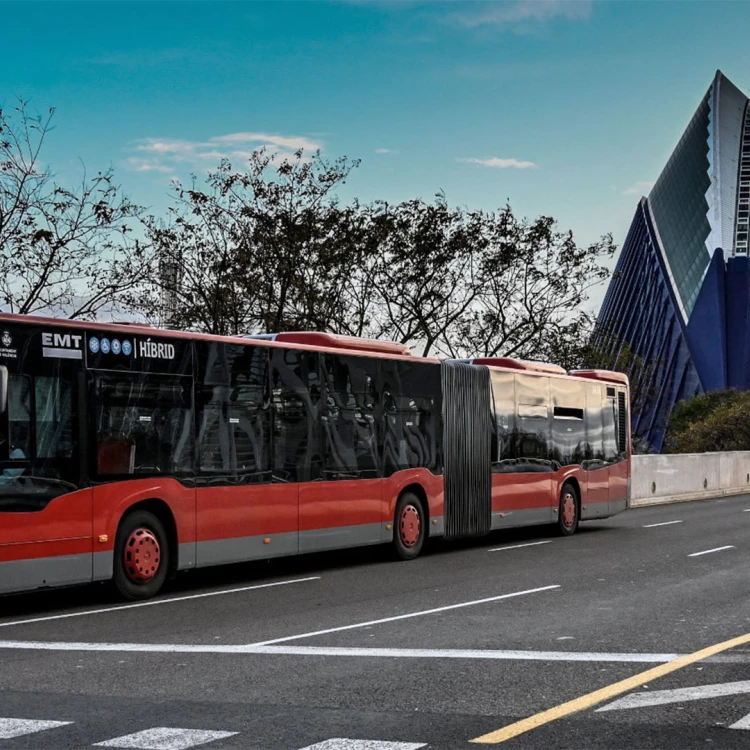 Imagen relacionada de ayuntamiento valencia descuento bonobus plus