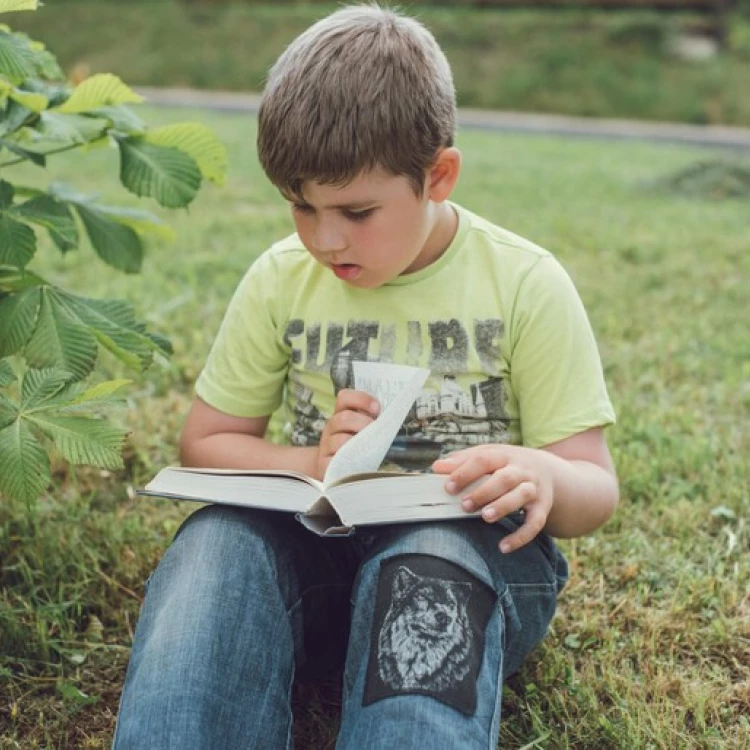 Imagen relacionada de euskadi refuerza educacion primaria matematicas lectura