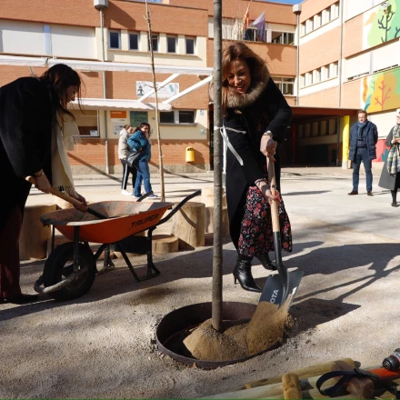 Imagen relacionada de transformacion patios escolares zaragoza