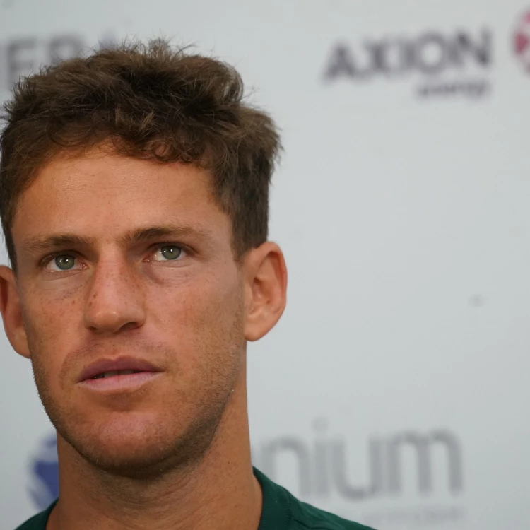 Imagen relacionada de diego schwartzman retiro tenis argentina open