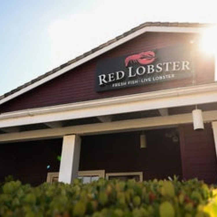 Imagen relacionada de red lobster lobsterfest 2025