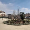 Imagen relacionada de transformacion parque vicente torres santa isabel