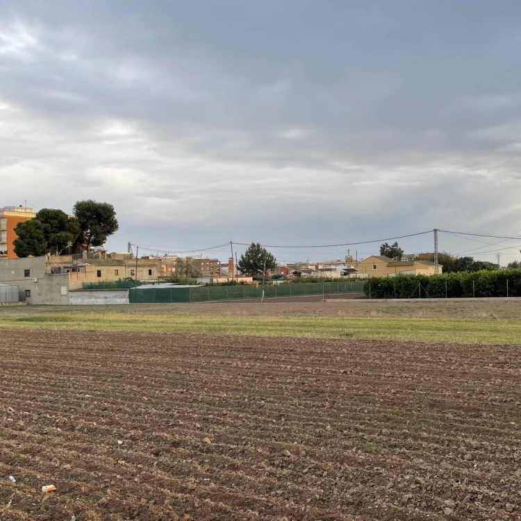 Imagen relacionada de nuevas ayudas agricultores valencia