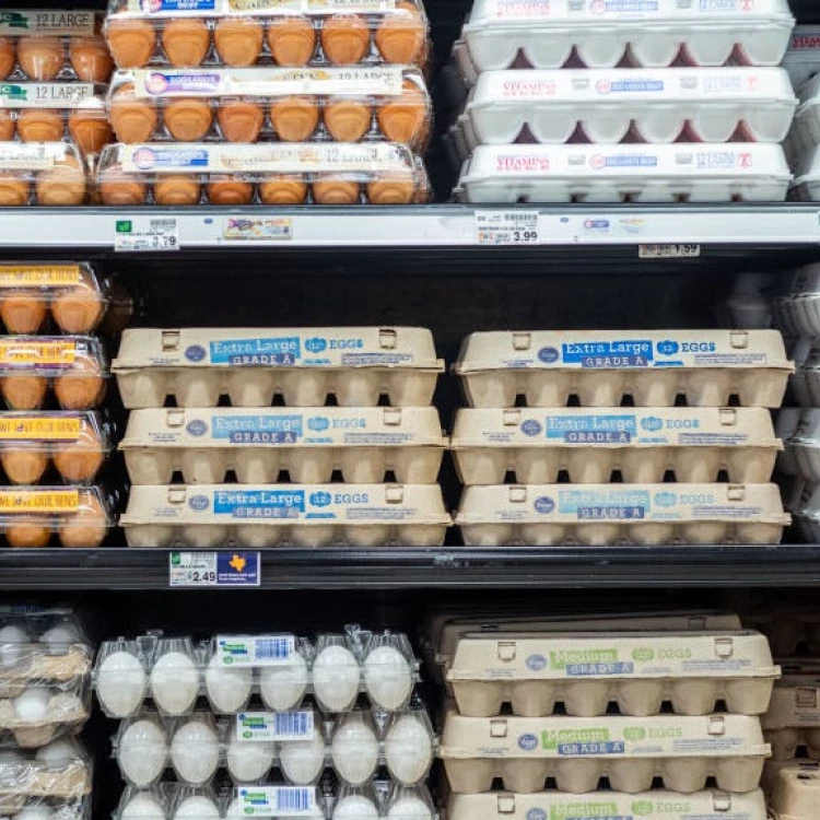 Imagen relacionada de alquiler gallinas crisis precios huevos