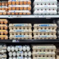 Imagen relacionada de alquiler gallinas crisis precios huevos