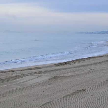 Imagen relacionada de valencia inversion limpieza playas