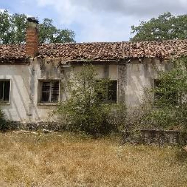 Imagen relacionada de transformacion bosque villafria burgos