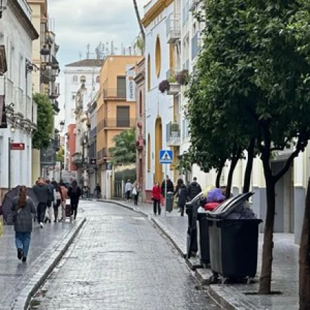 Imagen relacionada de mejoras calle alfonso xii sevilla