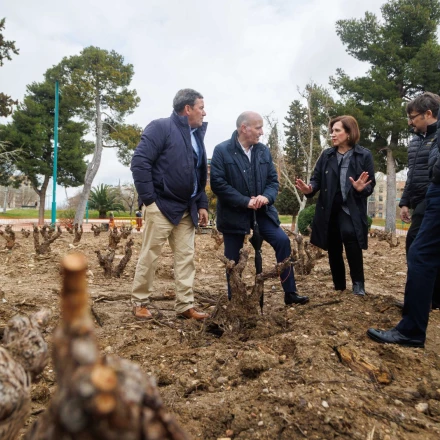 Imagen relacionada de jardin garnacha zaragoza