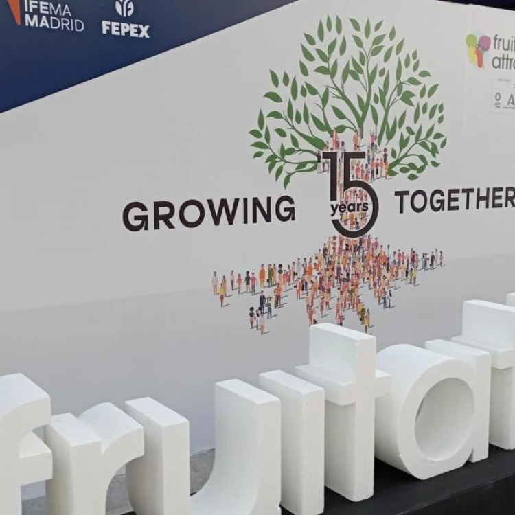 Imagen relacionada de fruit attraction la comunidad de madrid reune a miles de profesionales del sector de frutas y hortalizas