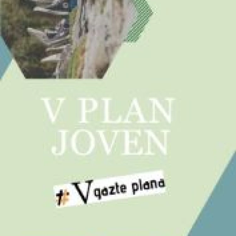 Imagen relacionada de v plan joven resumen ejecutivo en el pais vasco