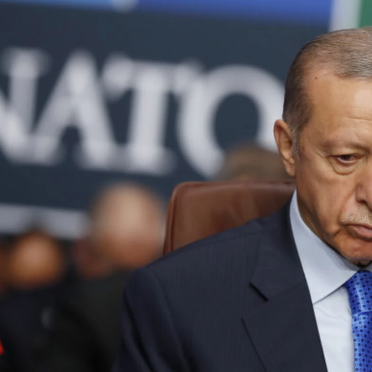 Imagen relacionada de turquia aprueba solicitud membresia suecia otan